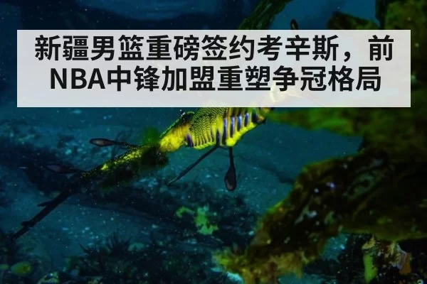 新疆男篮重磅签约考辛斯，前NBA中锋加盟重塑争冠格局