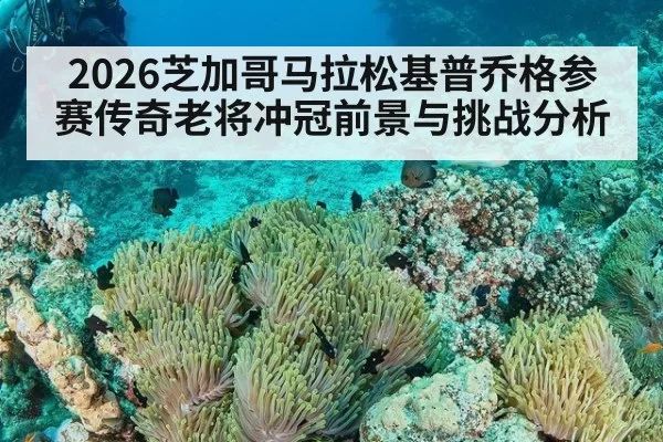 2026芝加哥马拉松基普乔格参赛传奇老将冲冠前景与挑战分析